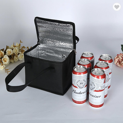 रोश 6 बीयर पिकनिक के लिए कूलर बैग हाइड्रो फ्लास्क टोट कूलर कर सकते हैं